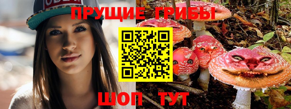 Губкин  Псилоцибиновые грибы ЛСД  Вход с VPN 